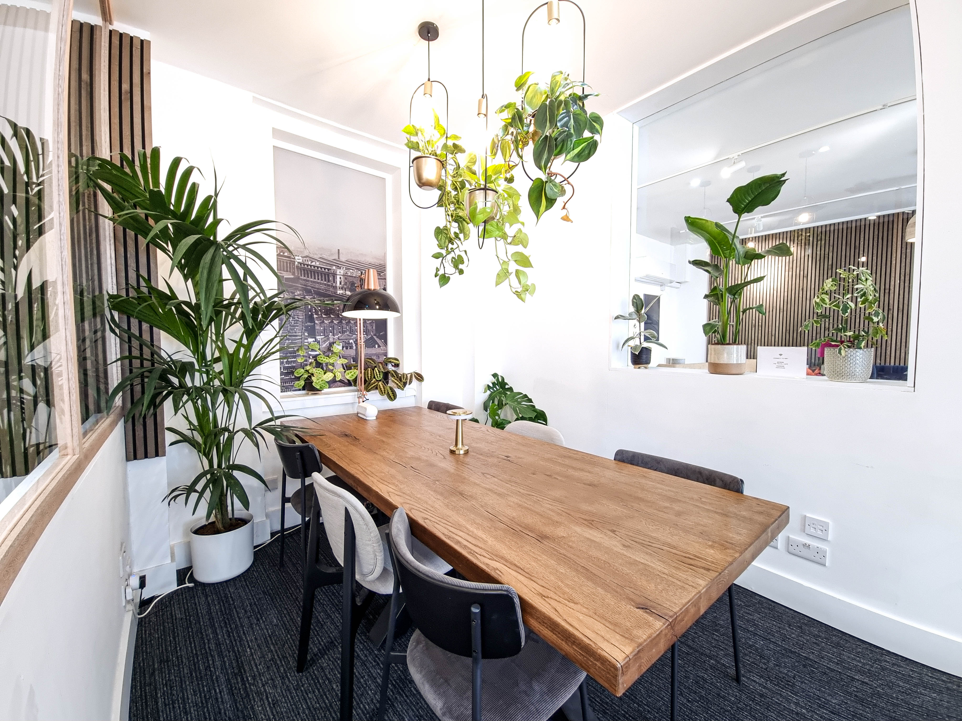 Modern meeting room with wooden table, greenery for creative events and discussions.