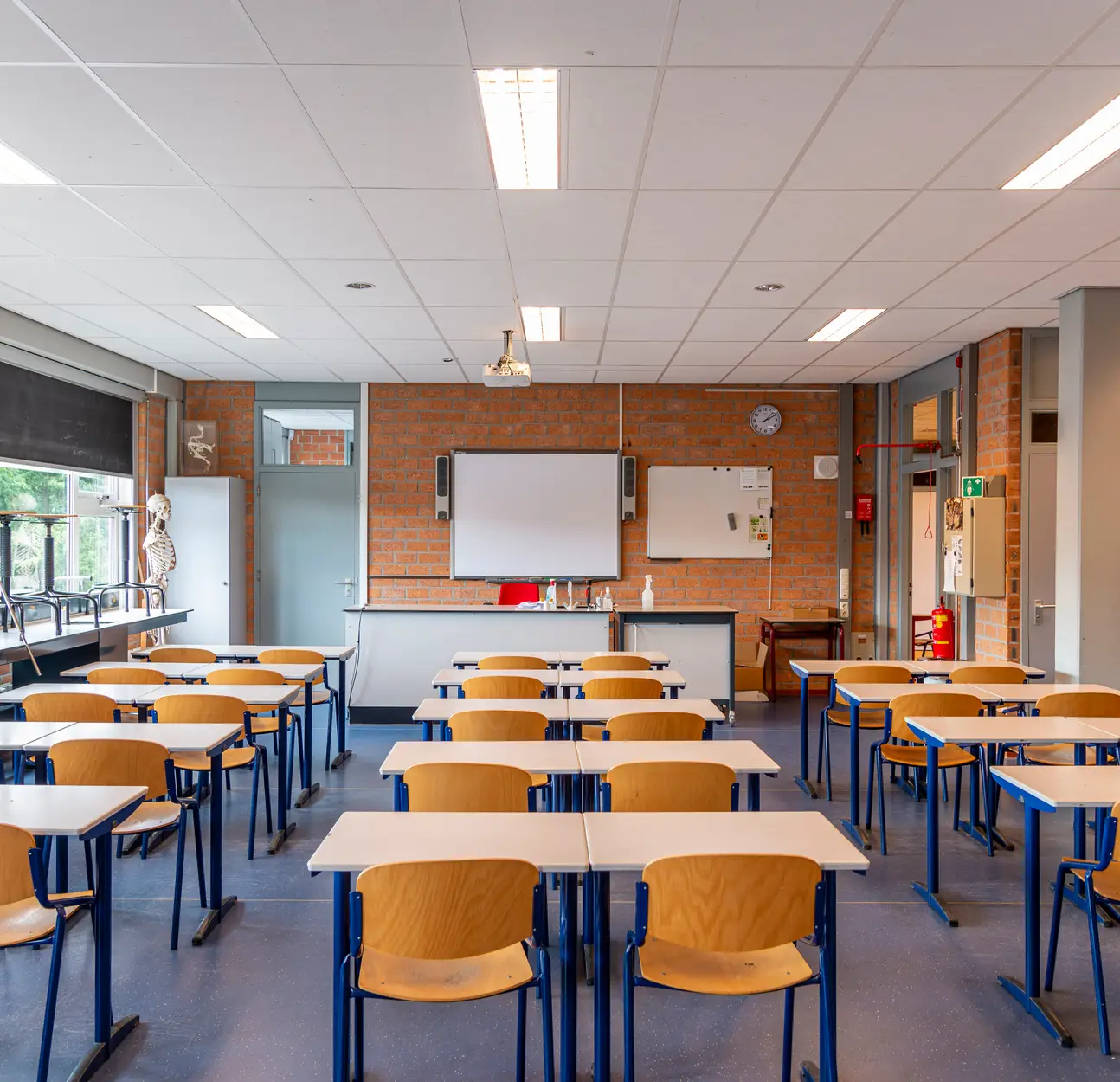 Main Hall at Avondale Park Primary School, ideal for workshops and training sessions.