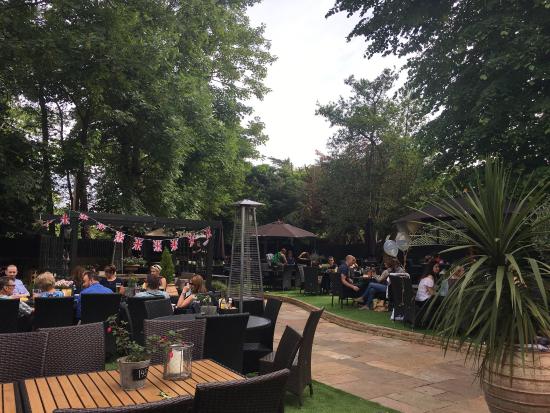 Vibrant outdoor event space with lush greenery for casual gatherings and networking.