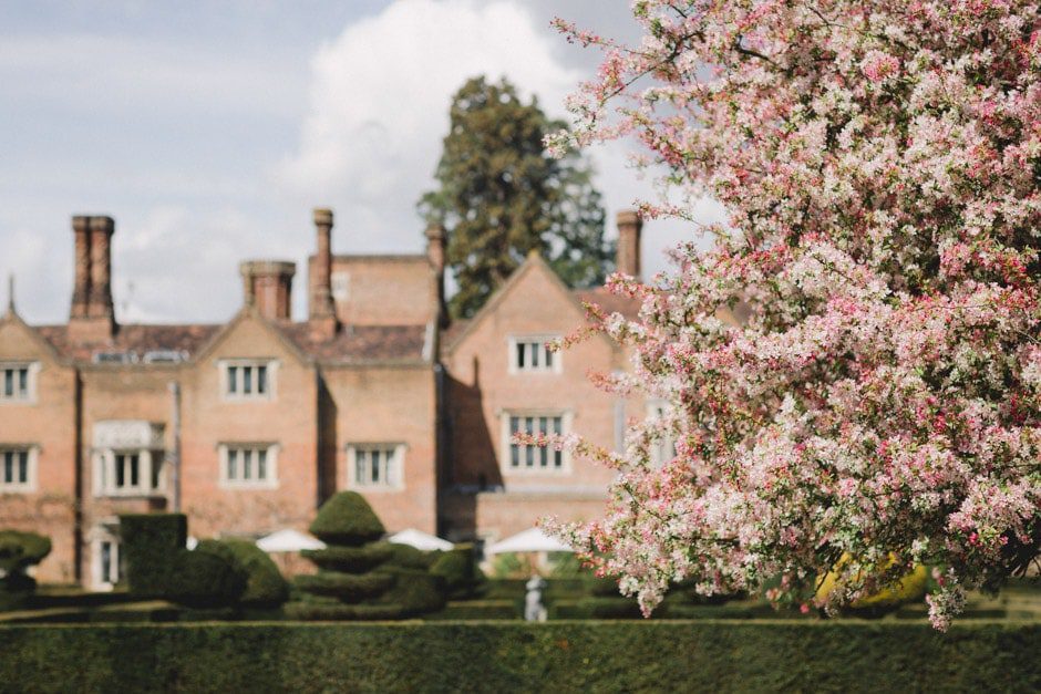 Magnolia Lawn - 12307e44-f21e-4854-884b-41bcf64fab60.jpeg