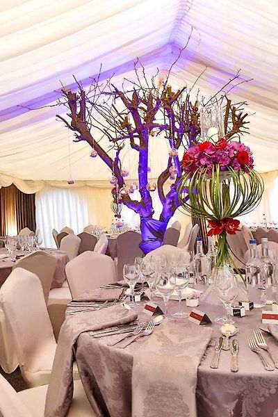 Elegant Function Hall at Croft Court Hotel with illuminated tree centerpiece for weddings.