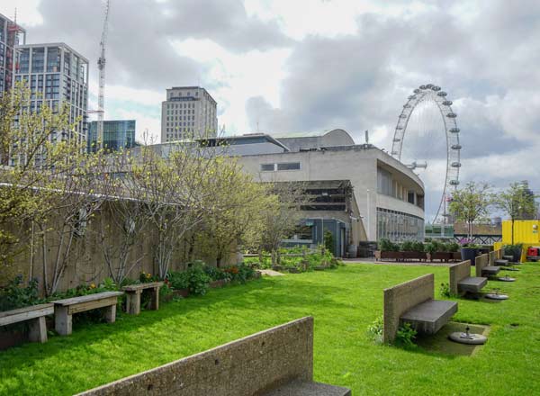 Queen Elizabeth Hall Roof Garden with lush greenery, ideal for events in London.