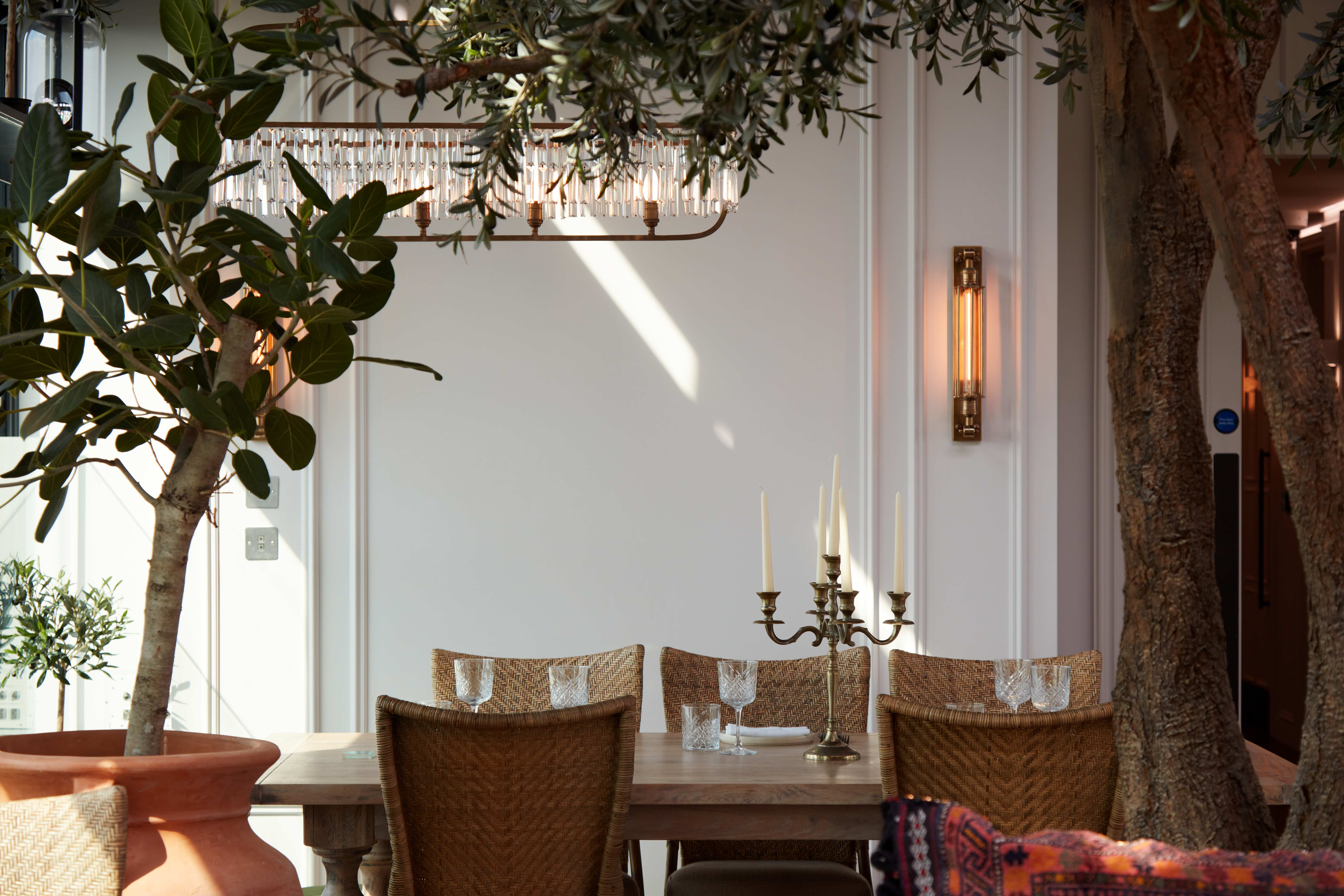 Elegant meeting space with greenery, perfect for intimate gatherings and brainstorming sessions.