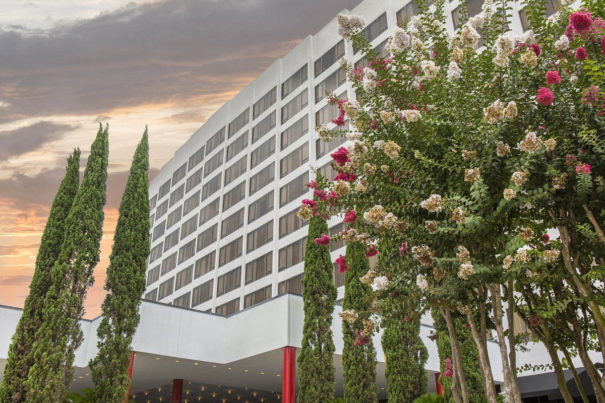 Palm Court at Omni Houston Hotel, modern venue for elegant conferences and social events.