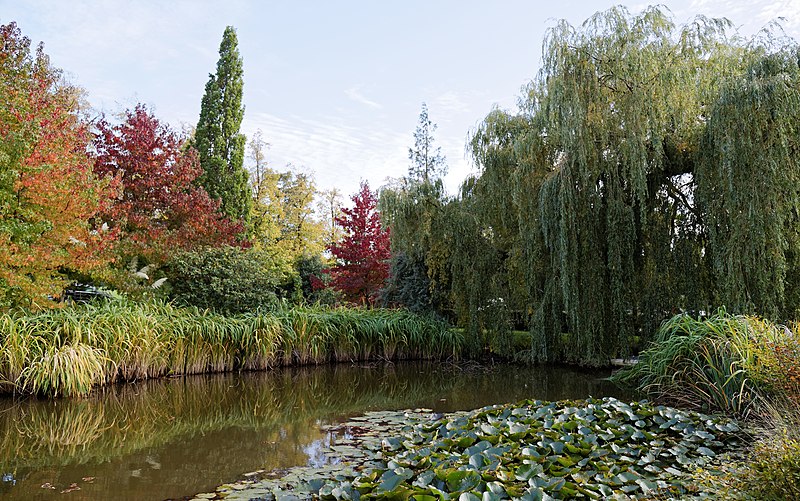 Serene Arboretum pond at West Lodge Park for outdoor events and retreats.