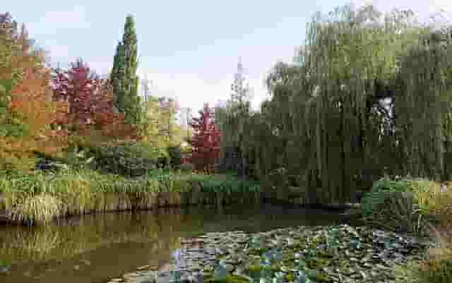 Arboretum
