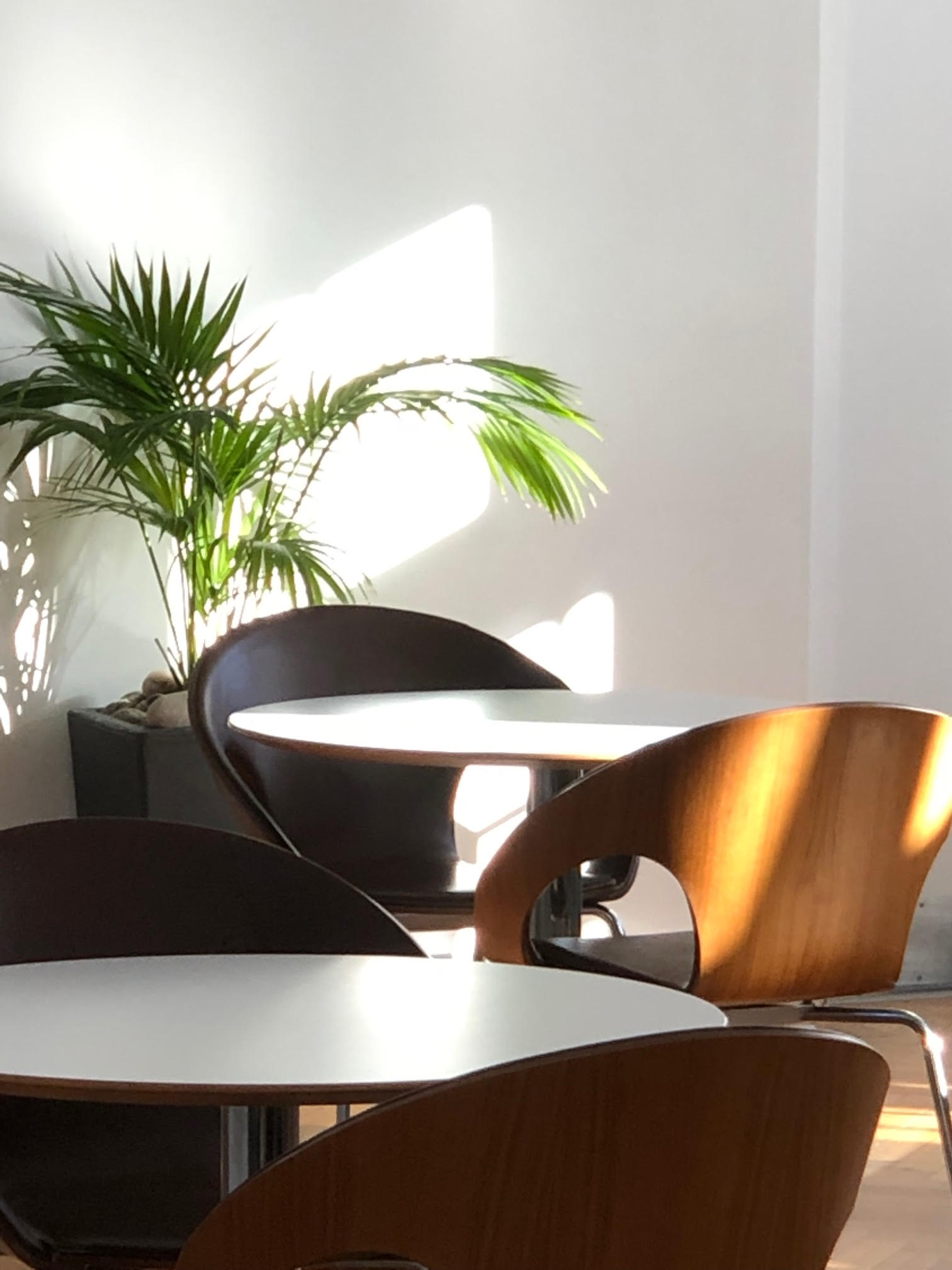 Café Area - f7a6ec7a-a157-46a8-8f23-b652d49e6ac3.jpeg