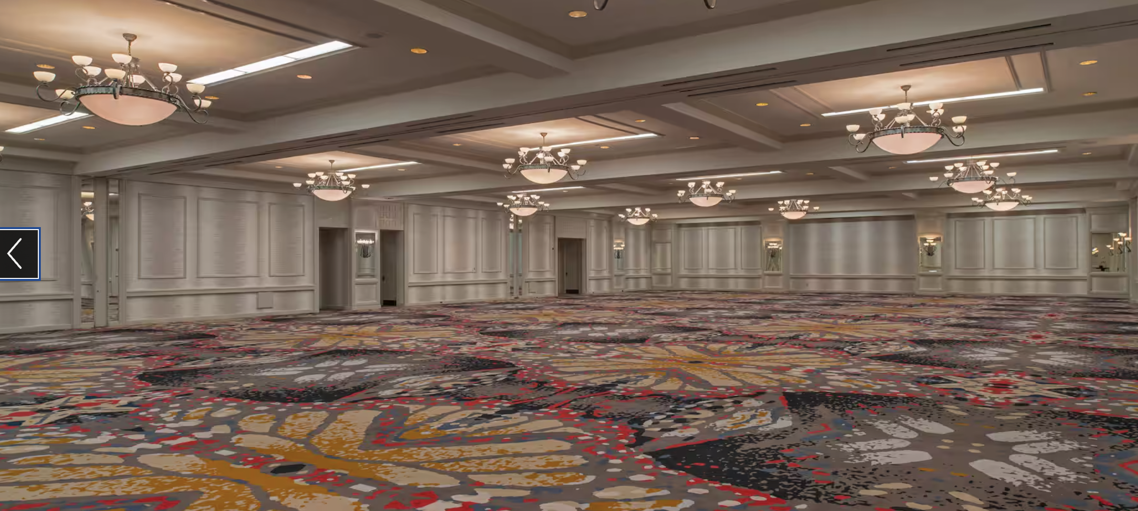 Elegant event space at DoubleTree Austin with vibrant carpet, ideal for conferences and banquets.