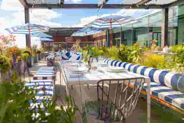 Skylark Roof Garden