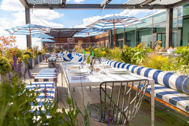 Skylark Roof Garden