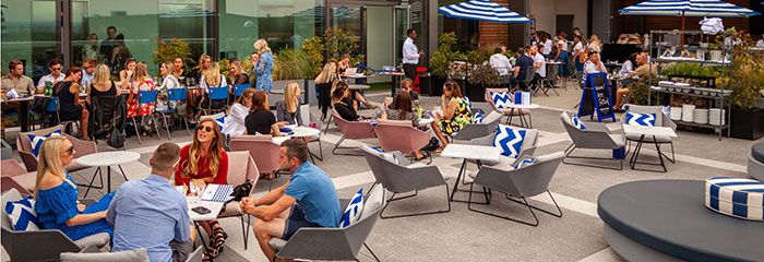 Skylark Roof Garden - nc5uic1rebx.jpeg