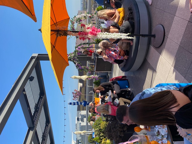 Skylark Roof Garden - razgc3vywl4.jpeg