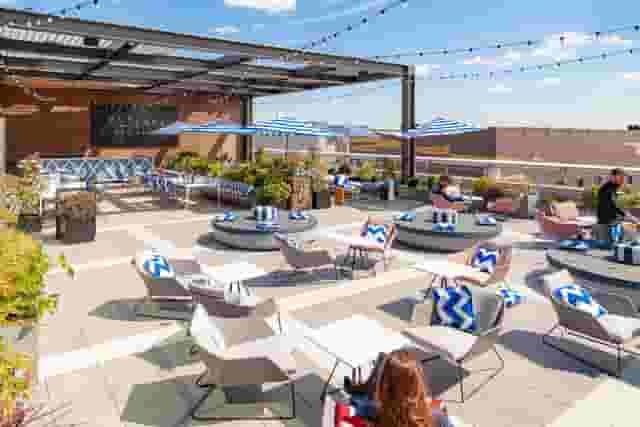 Skylark Roof Garden