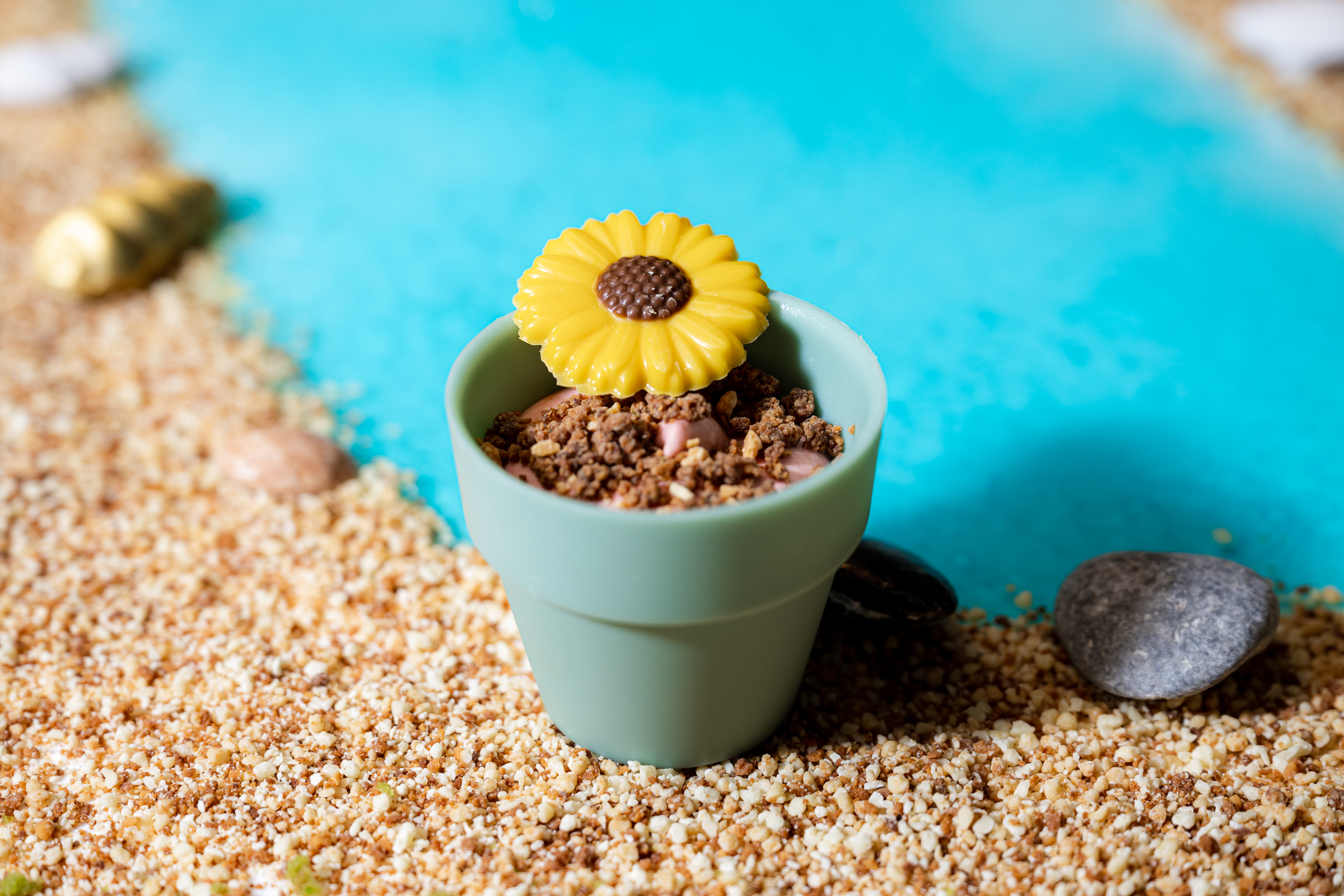 Edible dessert garden centerpiece, beach party, garden event decor