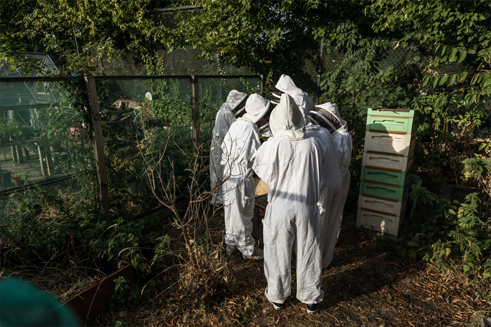 Group in protective suits at Bee.Spoke Learning Centre for beekeeping team-building event.
