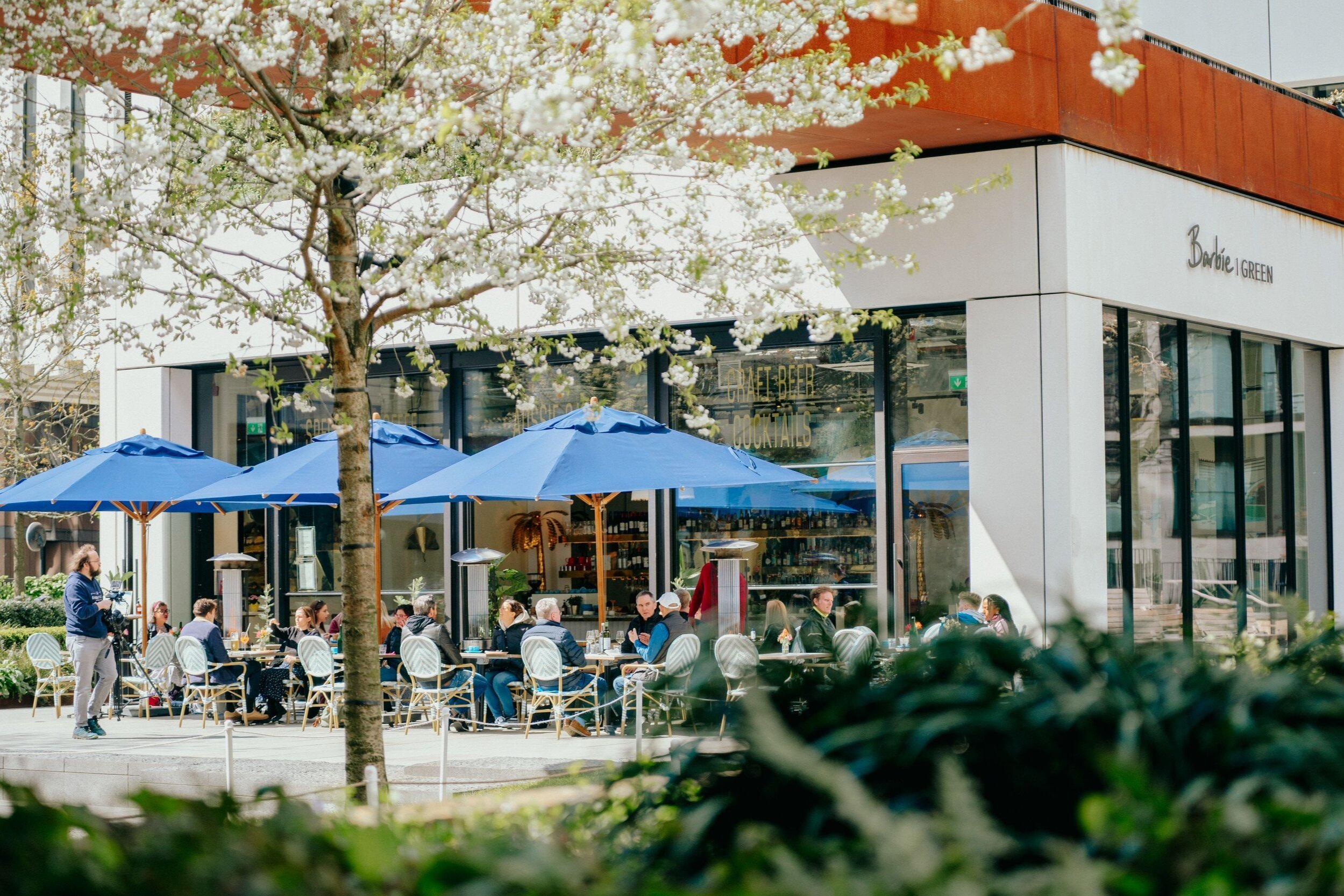 NEW LOCATIONS — DAISY | GREEN