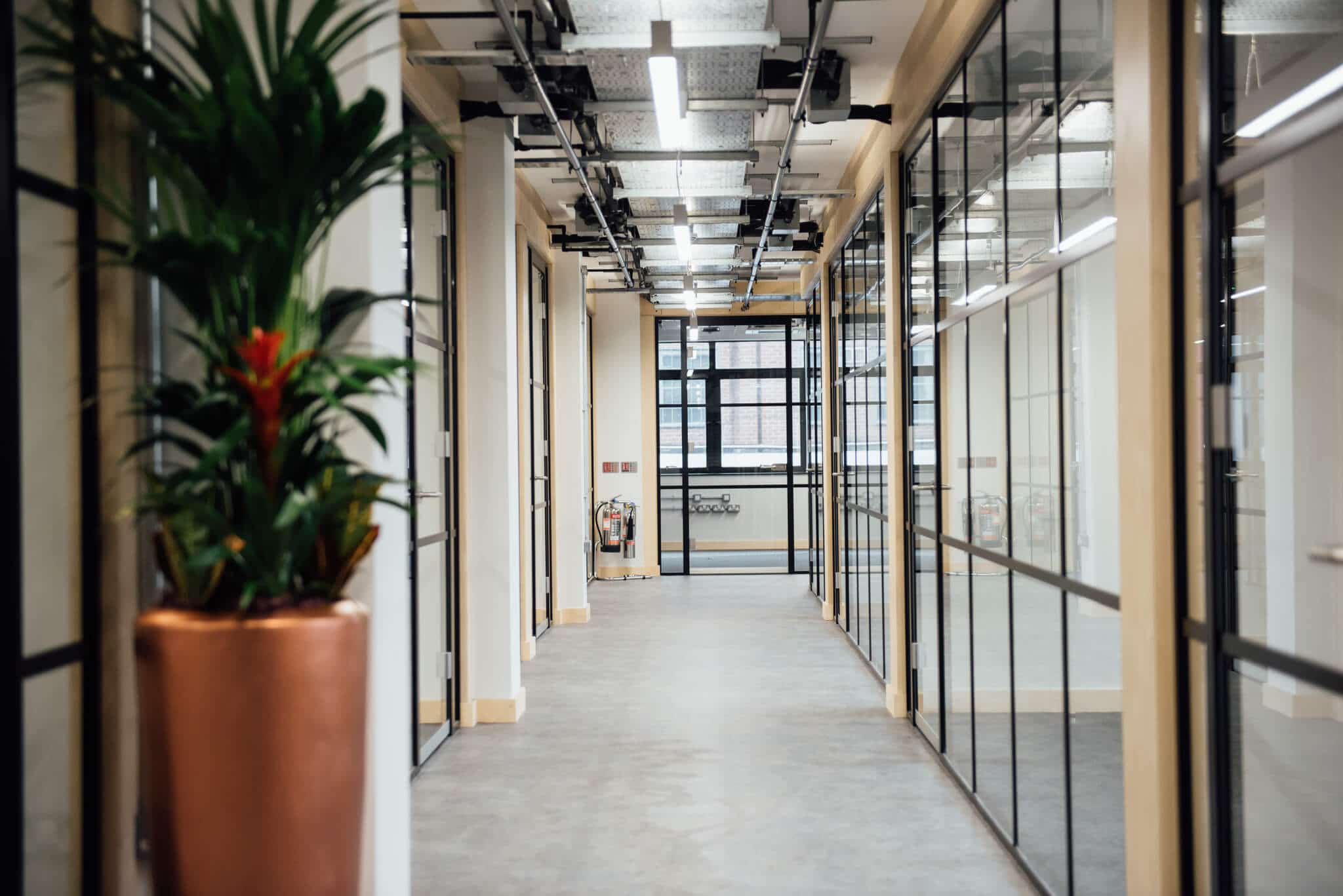 Modern office corridor at Beck Mill with glass meeting rooms, ideal for events.