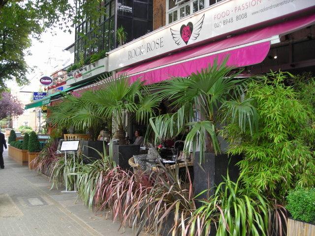 Vibrant outdoor dining at Rock & Rose, perfect for casual meetings and networking events.