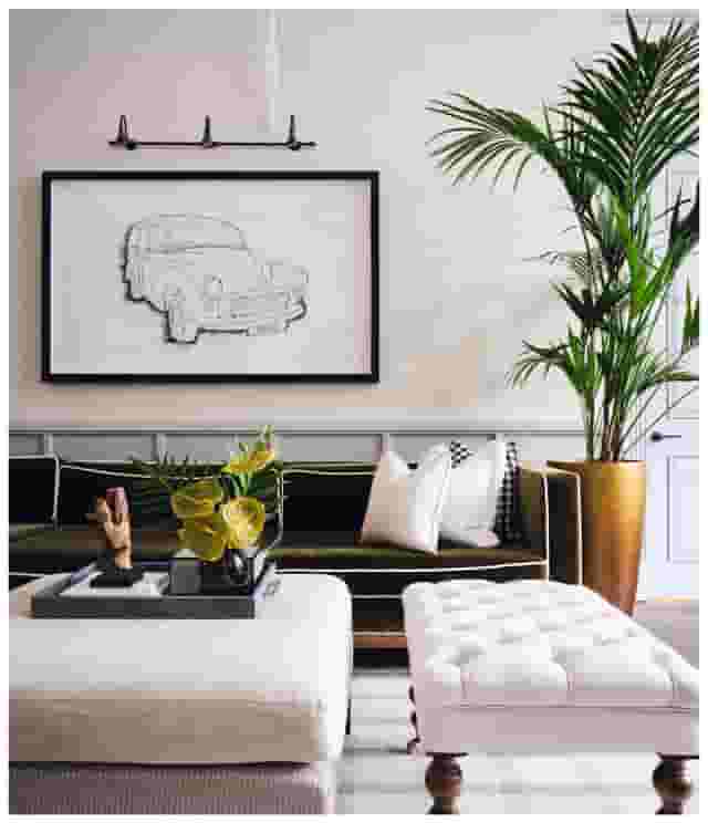 Elegant Lounges