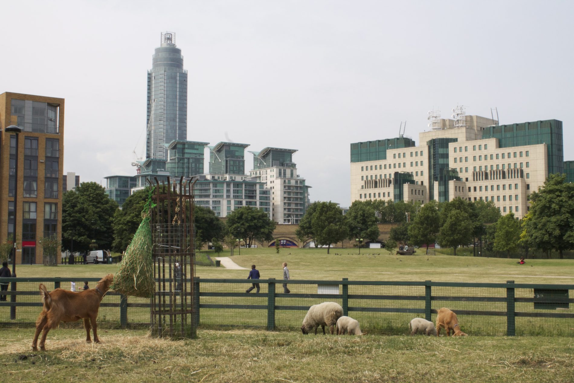 Vauxhall City Farm with grazing animals and urban skyline, perfect for outdoor events.