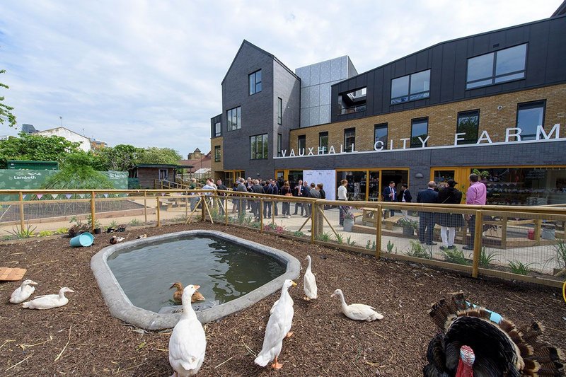 Vauxhall City Farm event space with modern architecture and attendees by a pond.