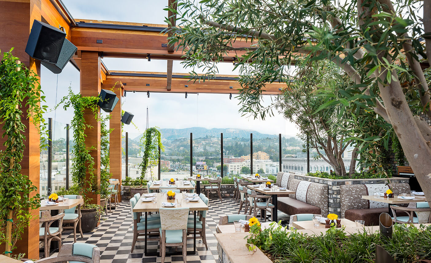 Stylish rooftop lounge with greenery, perfect for events and gatherings.