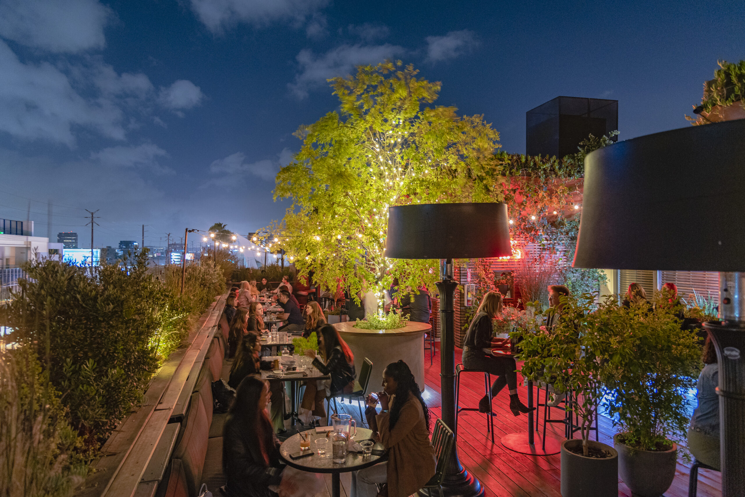 Vibrant rooftop venue with stylish seating for evening networking events in E.P. & L.P.