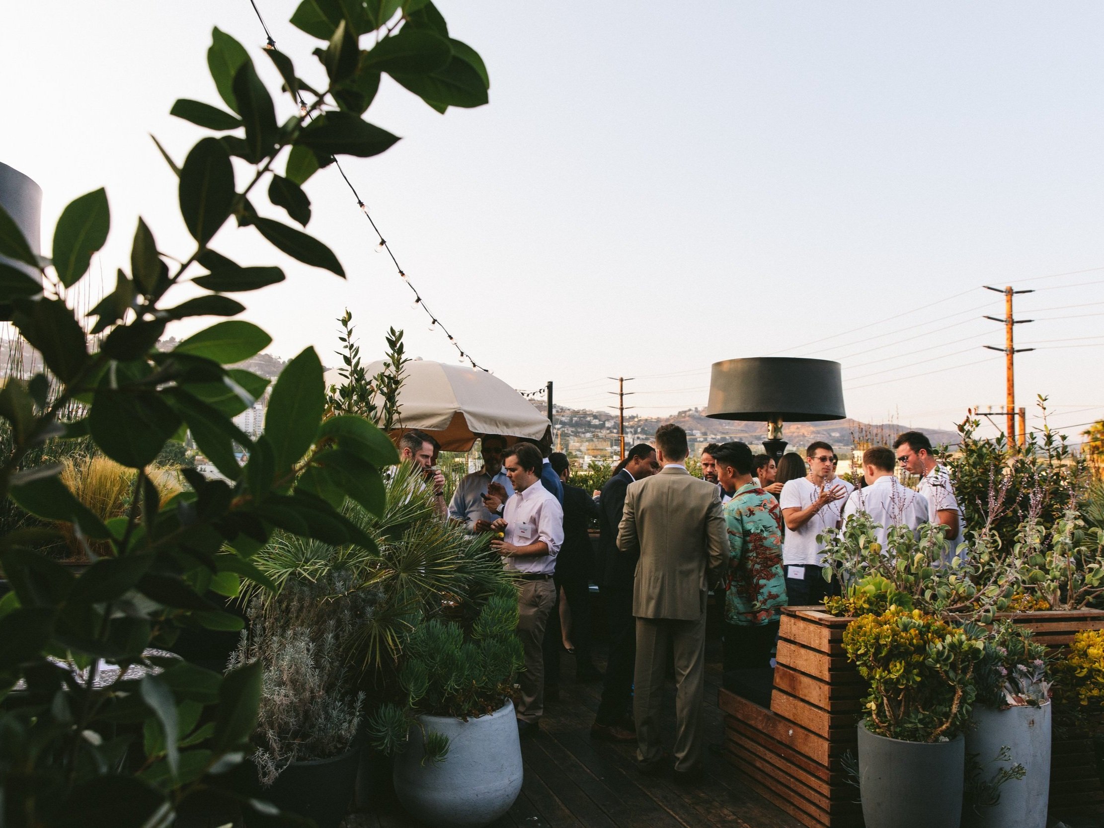 Vibrant rooftop networking event at E.P. & L.P. with lush greenery and casual attire.