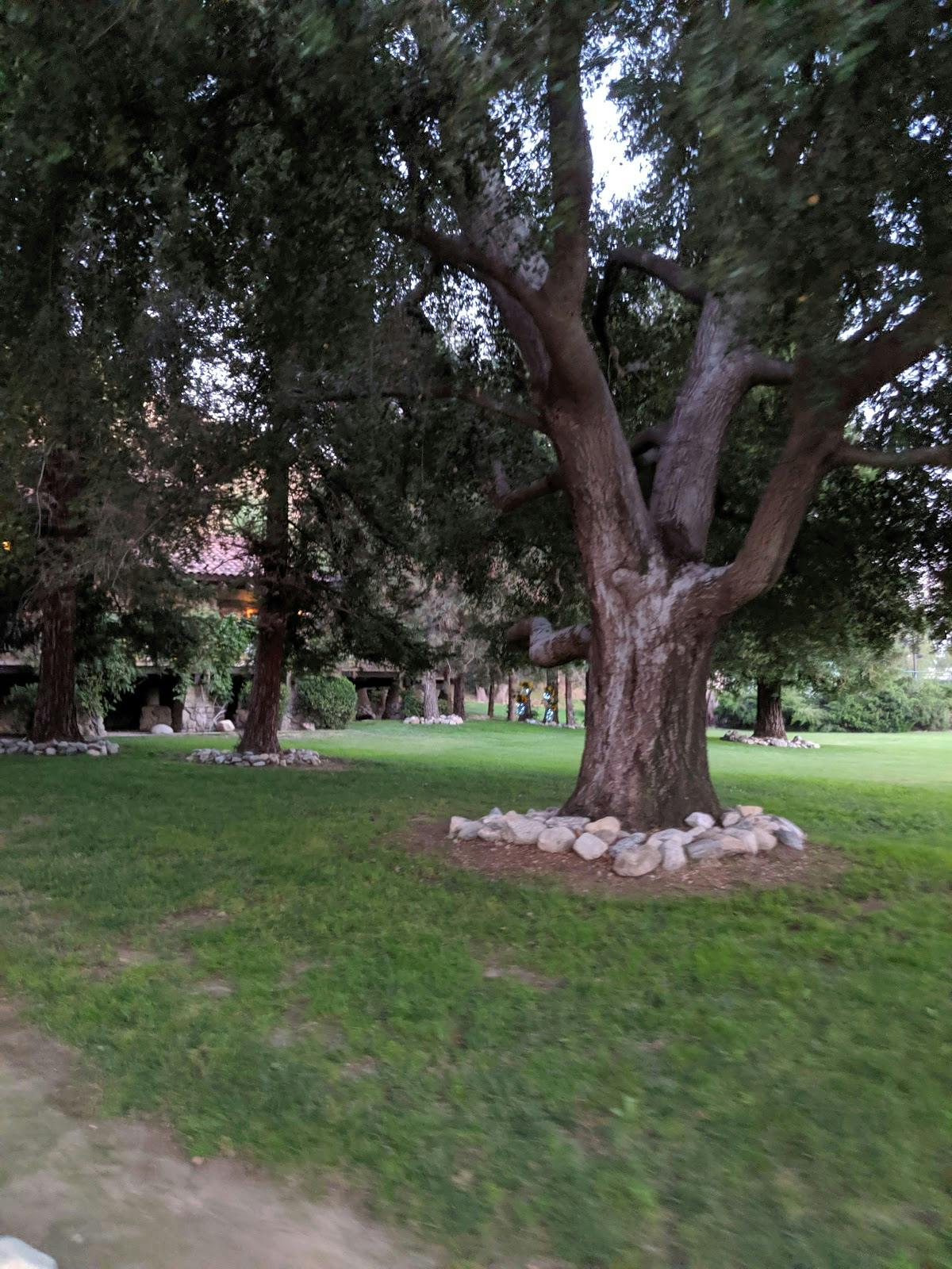 Brandview Garden venue with lush greenery, ideal for events and gatherings.