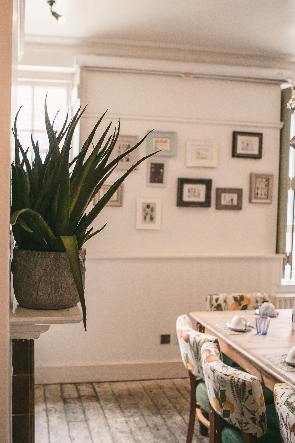 Cozy meeting space with stylish plant, ideal for events and brainstorming sessions.