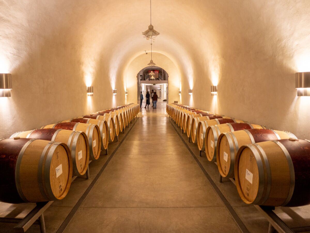 Wine Cave in Amador Club with wooden barrels, perfect for wine tastings and events.
