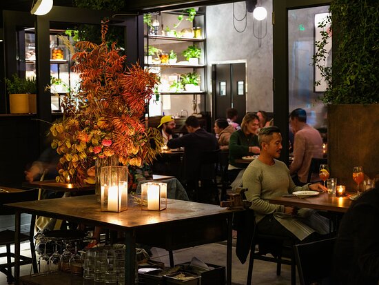 Vibrant restaurant in Penny Roma with stylish decor, perfect for events and gatherings.