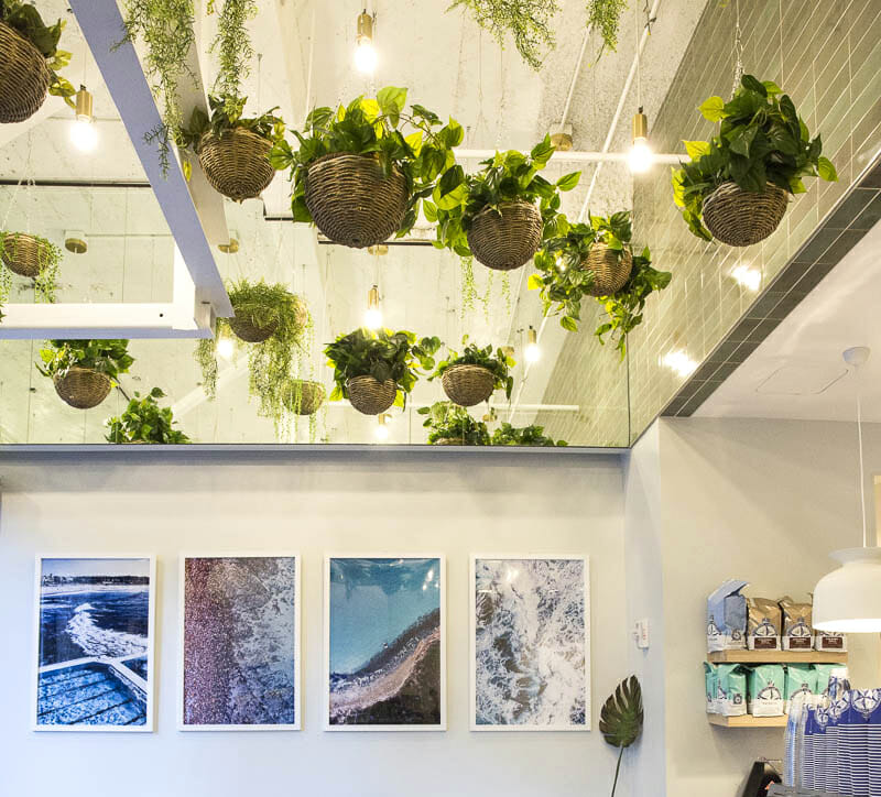 Union Square event space with hanging plants, ideal for meetings and social gatherings.