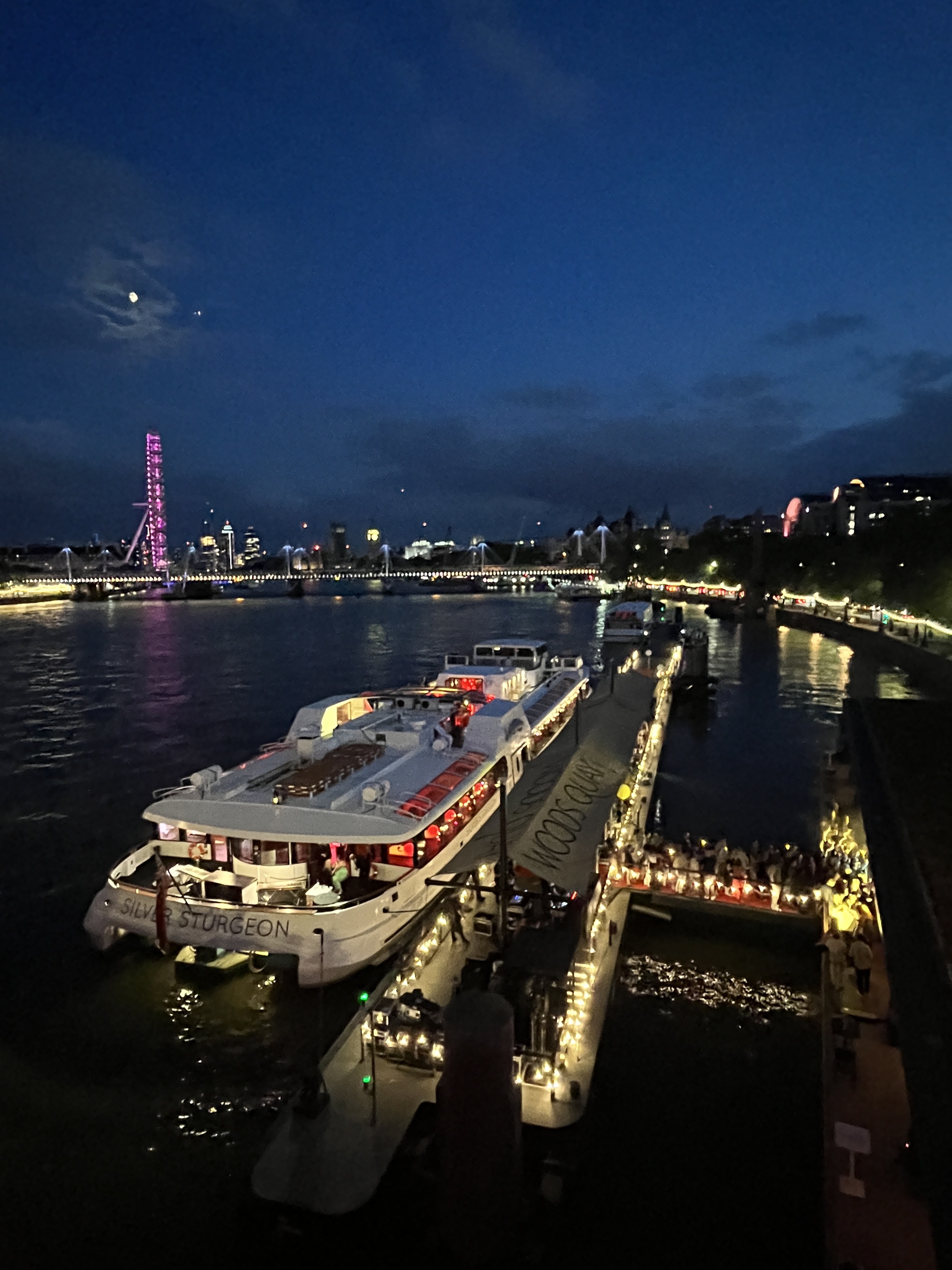Vibrant boat venue for large events by river with city skyline, perfect for gatherings.