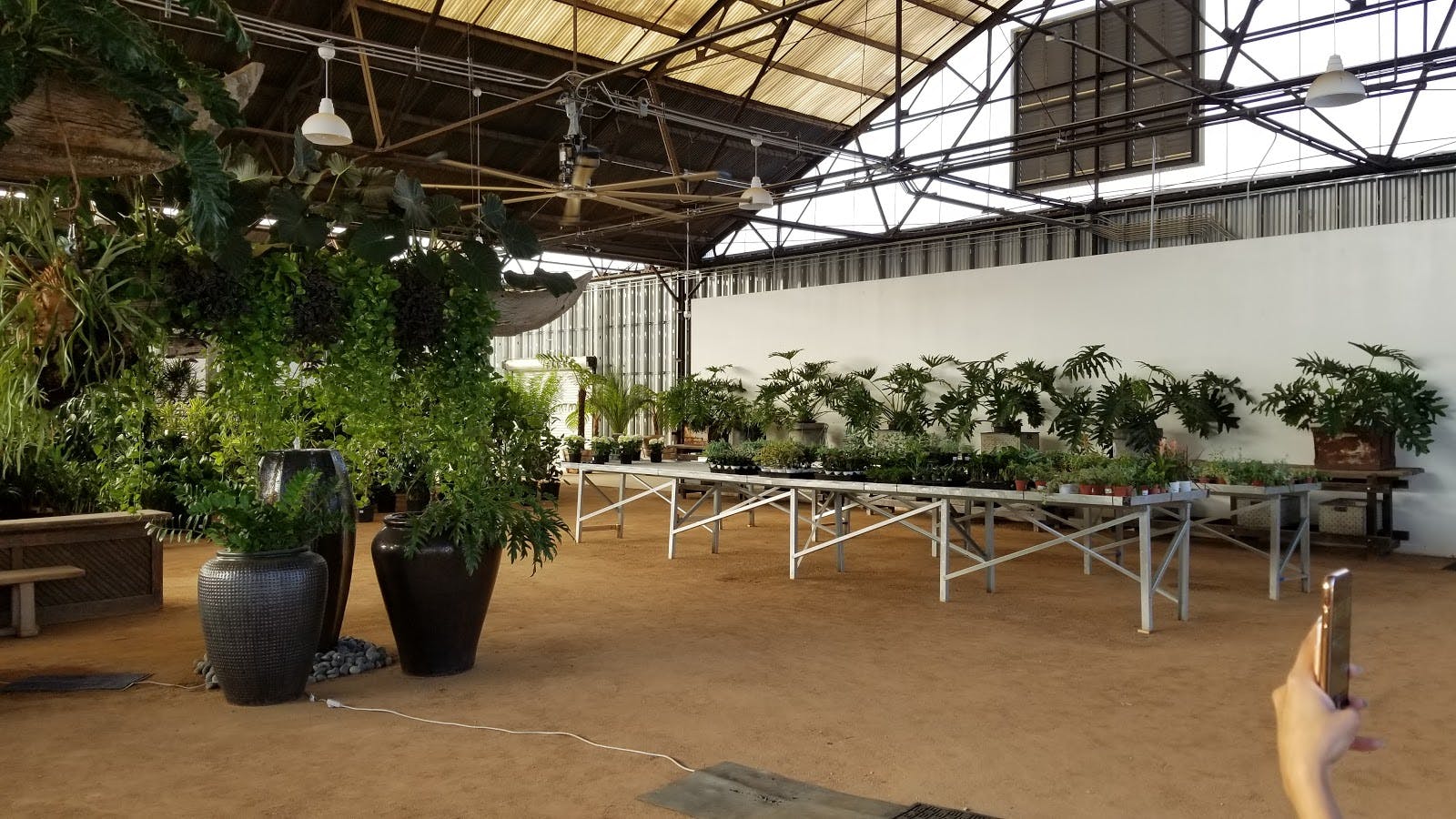 Rolling Greens - >Wade Trefethen</a>