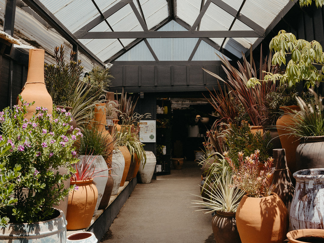 Elegant outdoor entry with potted plants, ideal for intimate gatherings and workshops.
