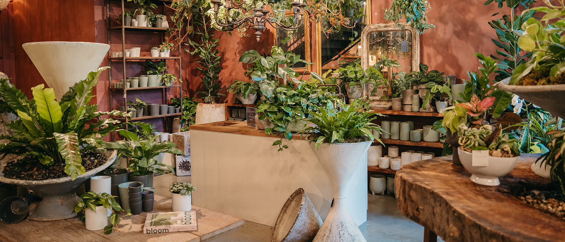 Lush plant shop in Rolling Greens, perfect for wellness workshops and intimate gatherings.