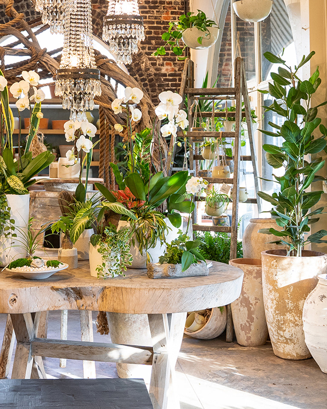 Lush greenery and floral displays in The Showroom, perfect for wellness events.