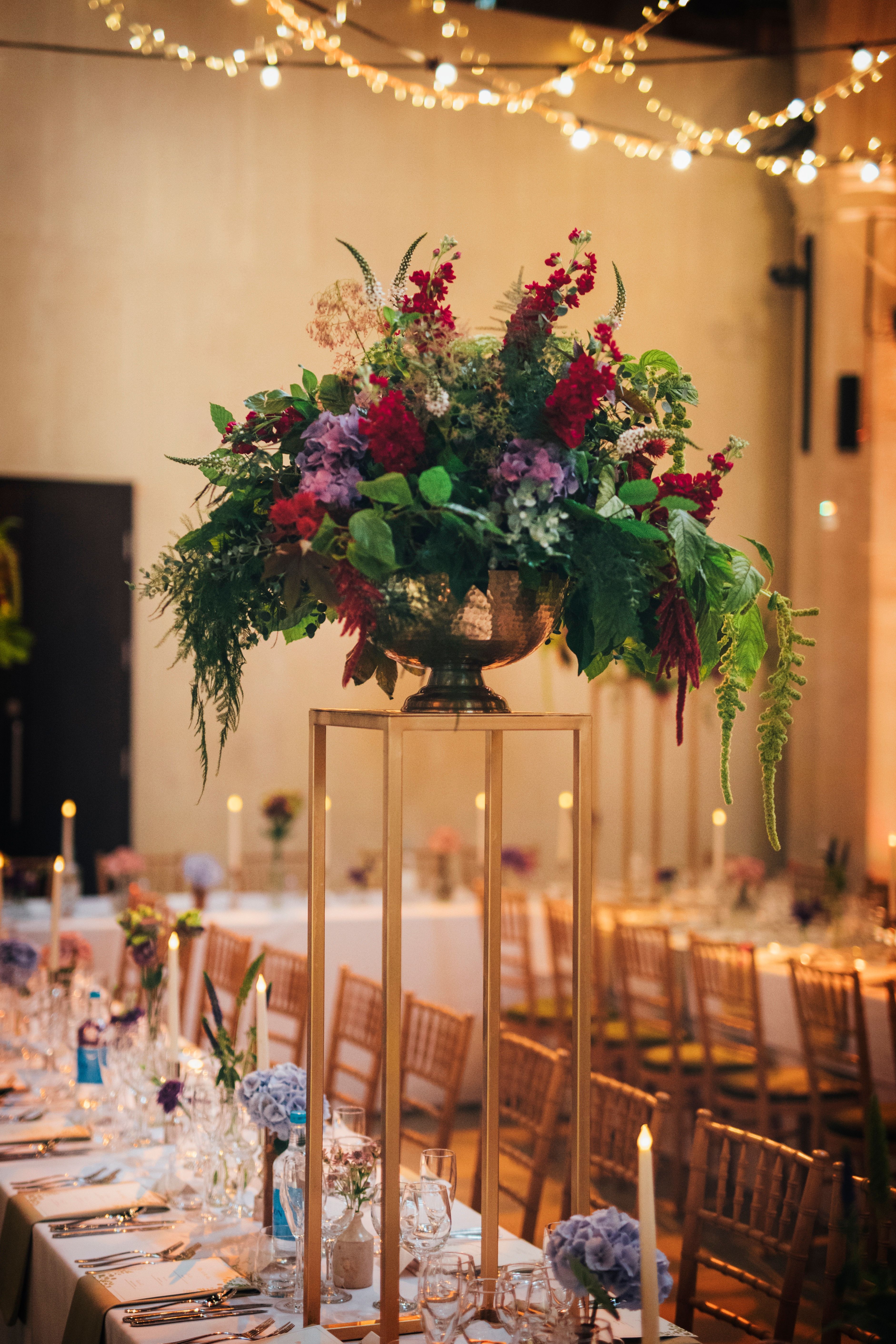 The Nave - oa05cnw4gdg.jpeg