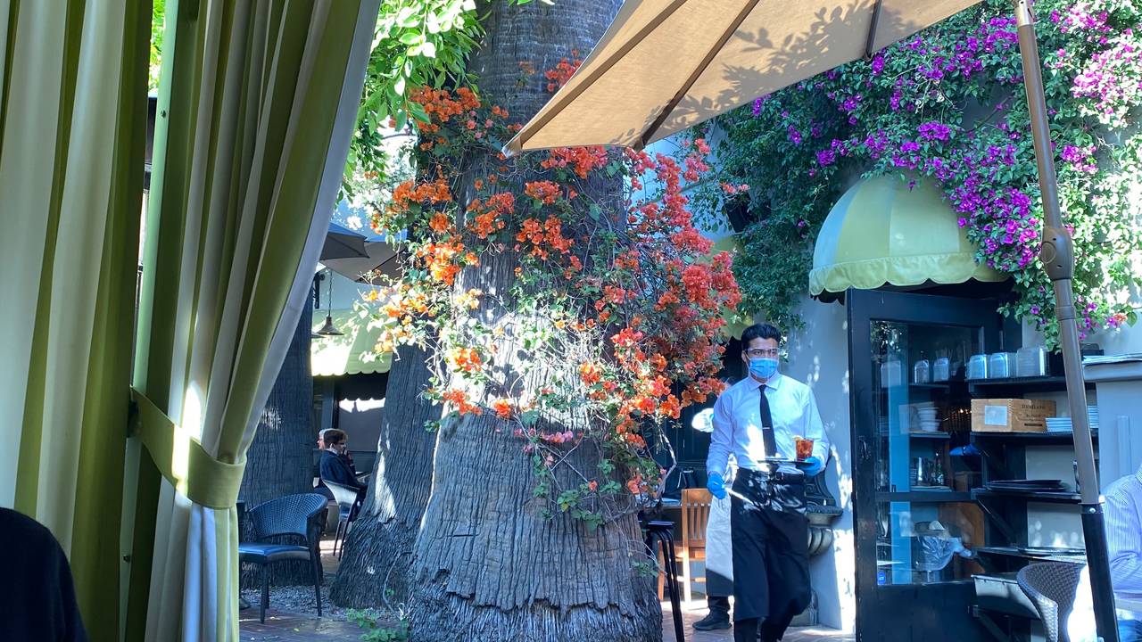 Wrap-around patio at Ca' Del Sole, vibrant outdoor event space with lush greenery.