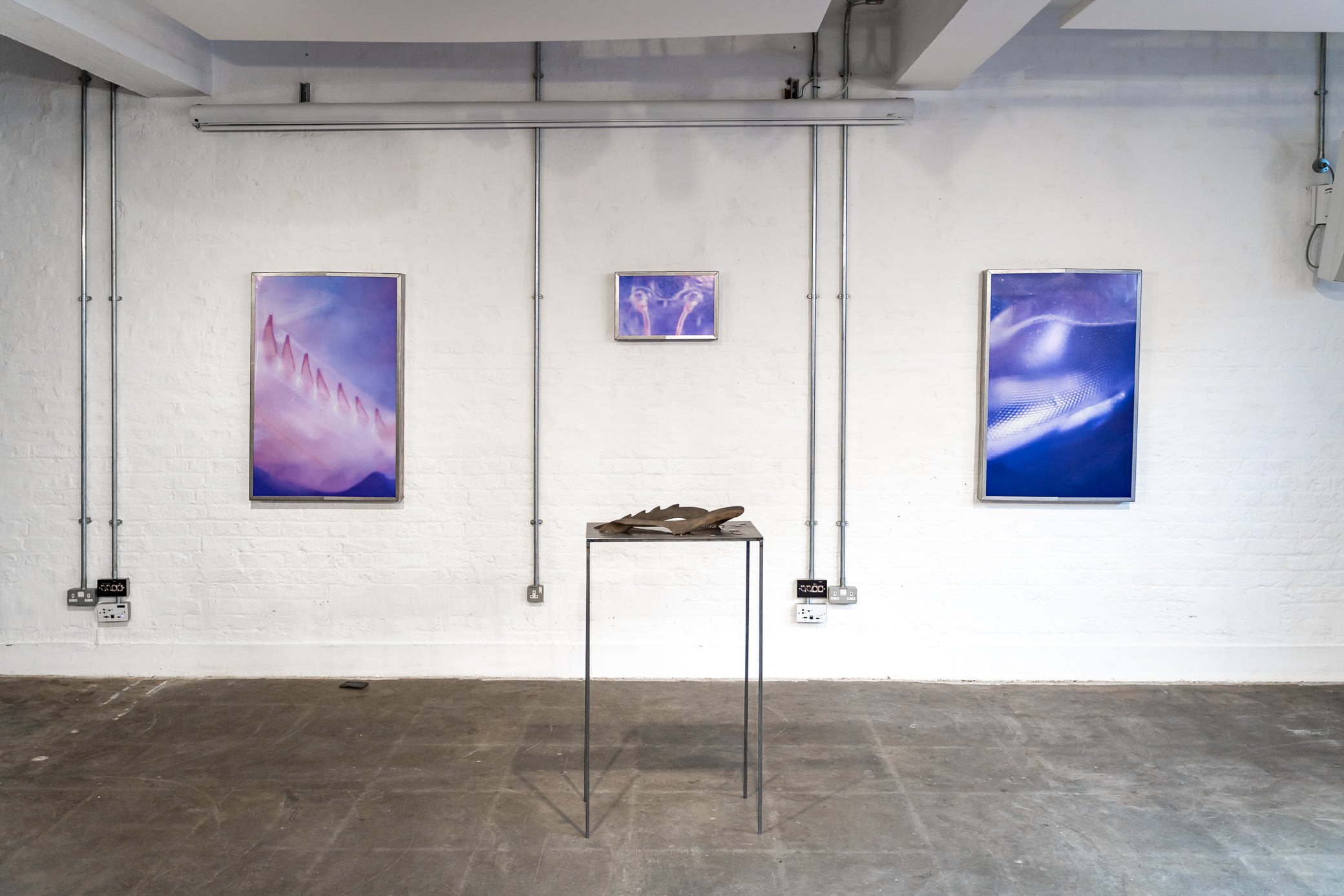 The White Space - cfdzcjpwfm0.jpg