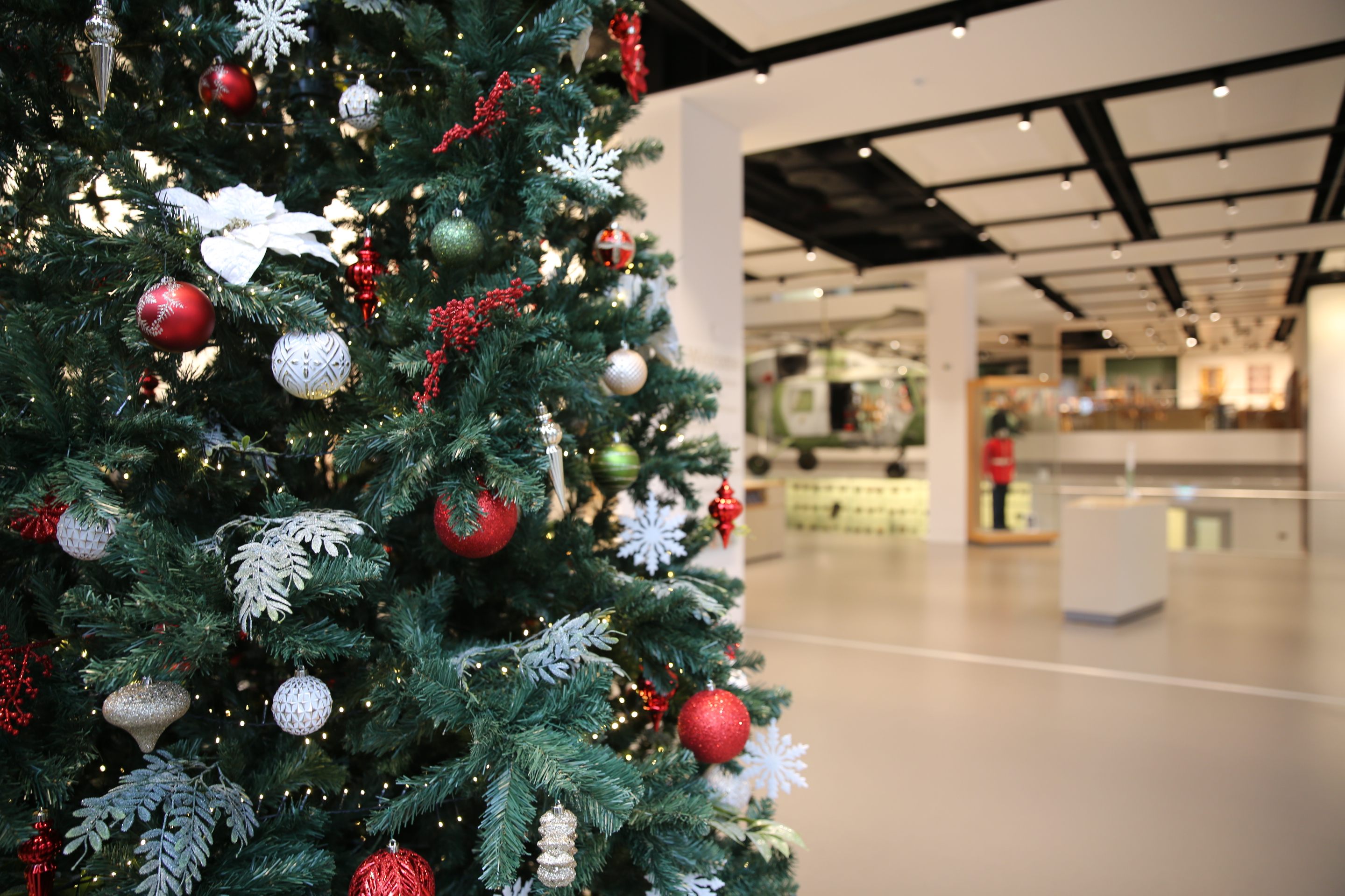 Christmas Parties - lqskba1xyhz.JPG