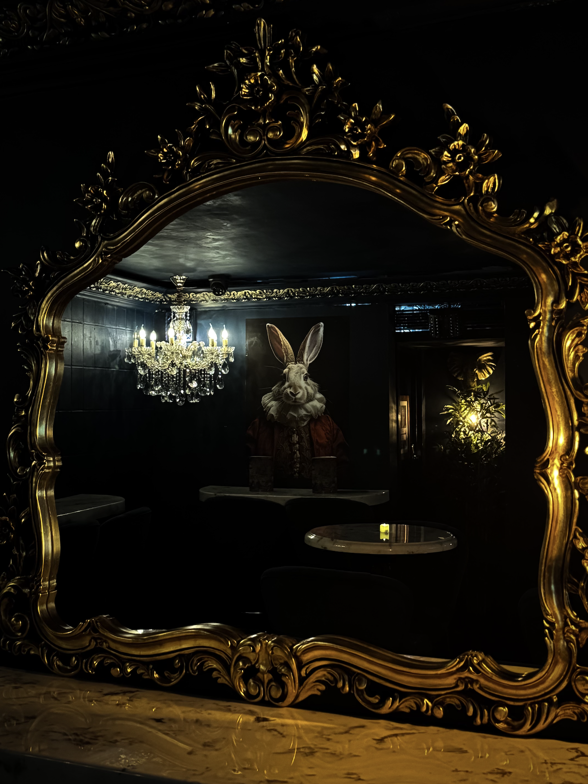 The Rabbit's Hole  - fwfkhu0fkry.png