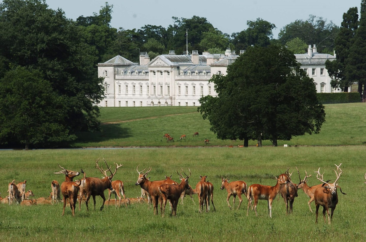 "Deer Park Tour & Dinner venue with estate, deer, perfect for outdoor weddings and events."