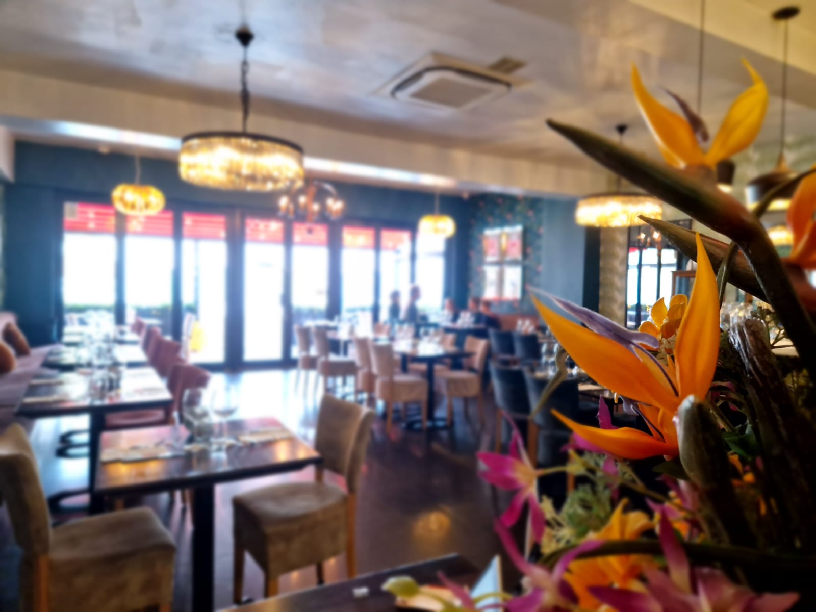 restaurant - mi41aep0cf4.jpg