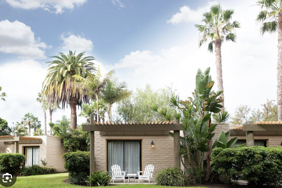 Serene Paradise Ballroom outdoor setting with palm trees for events and meetings.
