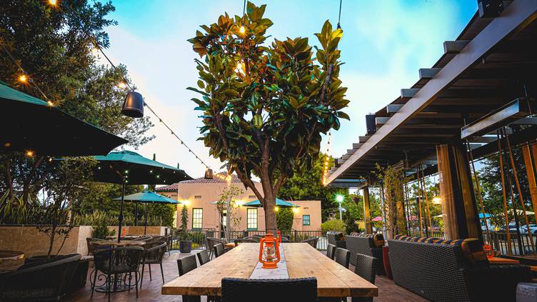Charming outdoor event space with communal table and string lights for gatherings.