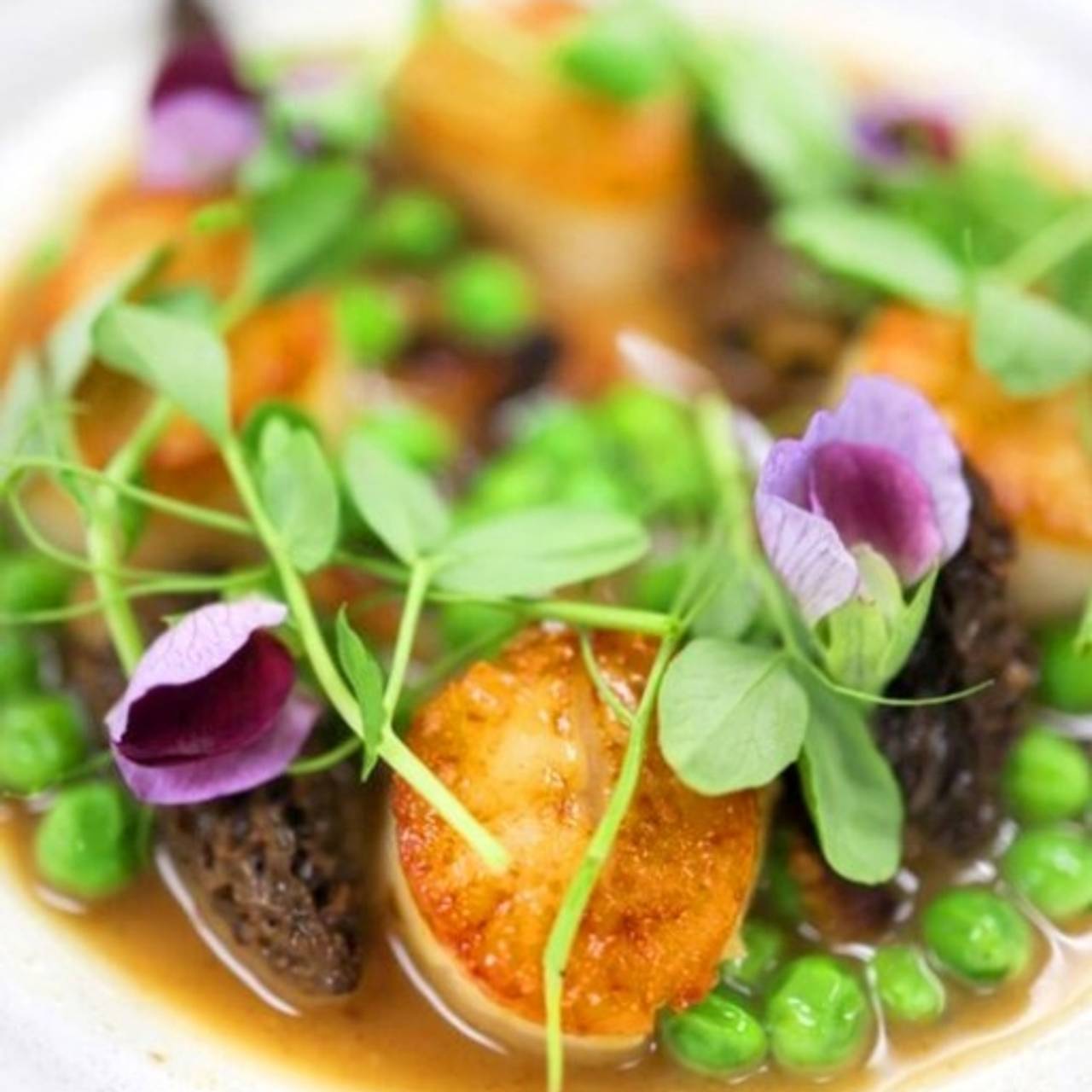 Seared scallops dish with peas and edible flowers for elegant catering events.
