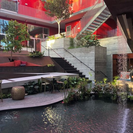 Modern outdoor lounge with lush greenery, ideal for events and networking.