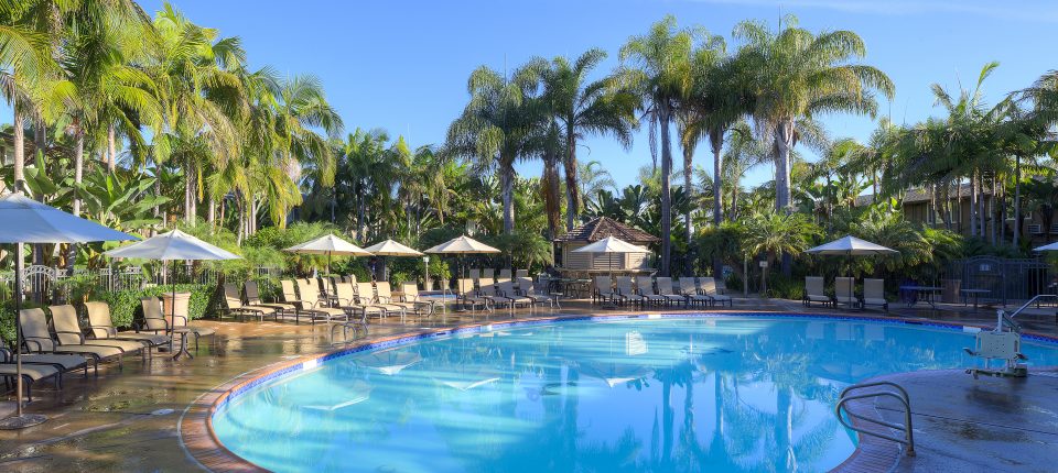 Perfect Week This Spring in San Diego ...